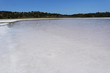 White salt lake
