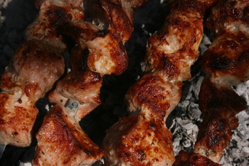 a pork meat on the grill in the spring garden