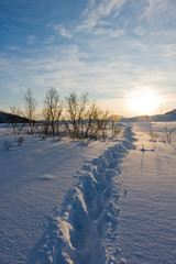 Wydeptana ścieżka w śniegu. Zaspy śnieżne i zima w Norwegii © MatB
