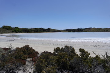 Beach in the morning