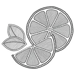 Coloring book page  with outlines of orange.