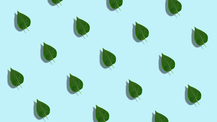 Lilac leaves pattern, dynamic and bright. Made of photos. Abstract Spring or Summer template. Light blue background. Also fit vertical