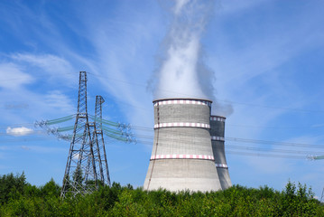 Russian Power plant with two coolers and violet flowers around it