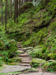 Im Höllengrund in der Sächsischen Schweiz