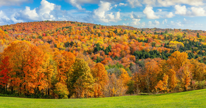 Brilliant fall colors in Vermont Countryside farm during Autumn near Woodstock