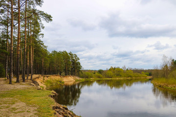 View of the steep banks of the river. The forest is growing. Selective focus.