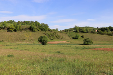 Fototapeta na wymiar Spring landscape near Sarajevo , Bosnia and Herzegovina 