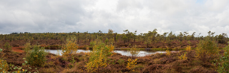 Fototapeta na wymiar Panorama-Landschaft im schwarzen Moor in der Rhön mit Moorsee