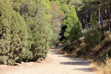 Fototapeta na wymiar Paisaje del Parque Natural Montes de Málaga (Andalucía, España)