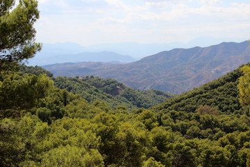 Fototapeta na wymiar Paisaje del Parque Natural Montes de Málaga (Andalucía, España)