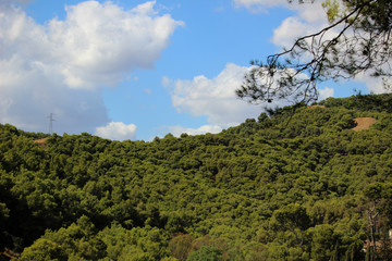 Paisaje del Parque Natural Montes de Málaga (Andalucía, España)