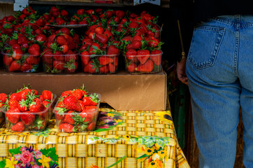 Beautiful ripe strawberries to sell on the tray in plastic containers on a Sunny day.