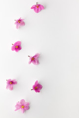 Spring or summer flower composition with edible  violets on white background. Flat lay, copy space. Healthy life and flowers concept.