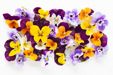 Obraz na płótnie Canvas Spring or summer flower composition with edible pansy and violets on white background. Flat lay, copy space. Healthy life concept.