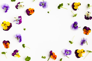 Spring or summer flower composition with edible pansy and micro greens on white background. Flat...