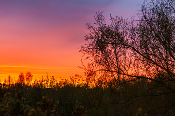Bright sunset sky as background