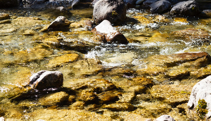 a mountain river with boulders and clear water