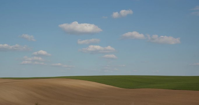 Beautiful green and gray field on sky background