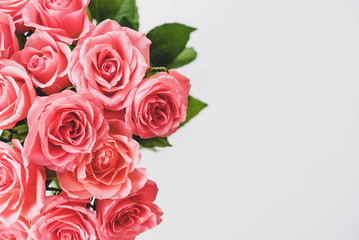 Heap of fresh pink roses in full bloom.