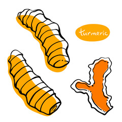 Turmeric, curcuma. Roots and slices. Colorful sketch collection of herbs and spices isolated on white background. Doodle hand drawn healthy food icons. Vector illustration
