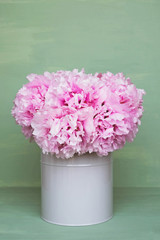 Fresh pink peony flowers in full bloom in vase.
