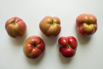 Five curves of ripe red apples close-up isolated. Trend-ugliness