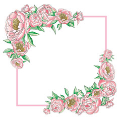 floral frame from the pink peons
