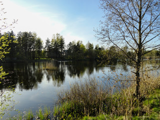 Fototapeta na wymiar Pond, lake, fishing. A place for fishing. Quiet, calm lake, spinning fishing process.