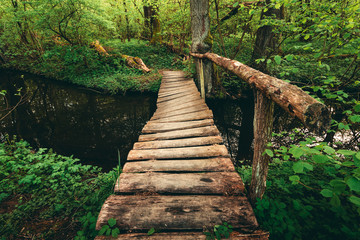 Landscape photo of curved and damaged wooden bridge over the forest stream on sunset. Beautiful scenic pov view on old wooden bridge crossing the river - moody tone photo