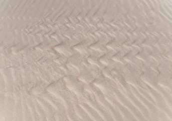Obraz premium Beach sand texture