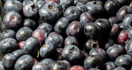 Organic Blueberries
