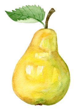Watercolor illustration of a ripe yellow pear with a leaf. Cute hand drawn fruit.

