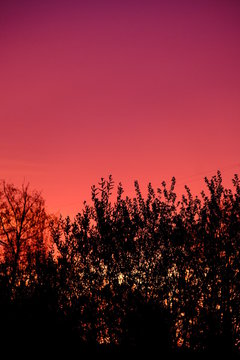 Sunset Sky Gradient  evening nature