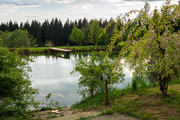 Teich mit Steg auf einem Bauernhof