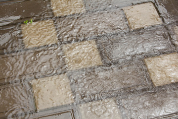 Rain in the city. Raindrops in a puddle of water