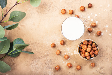 Fototapeta na wymiar Vegan Hazelnut nut milk in bottles, closeup, beige table background. Non dairy alternative milk. Healthy vegetarian food and drink concept. Copy space, top view