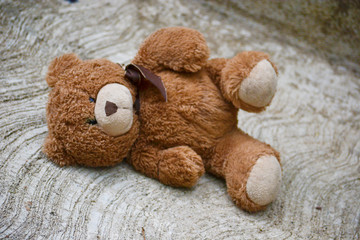 Sad Teddy Bear Toy