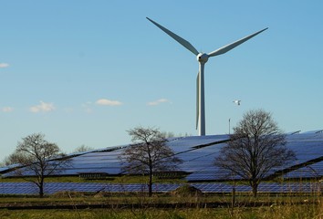 A great heron in front of a solar and wind turbine