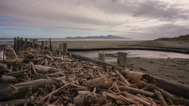 Time Lapse on the Kapiti Coast in New Zealand with driftwood on the beach