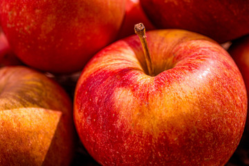 season red apples, summer background, organic fruit