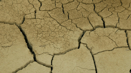 Very drought wetland, swamp and pond drying up the soil cracked crust earth climate change, environmental disaster and earth cracks very, death for plants and animals, soil dry degradation