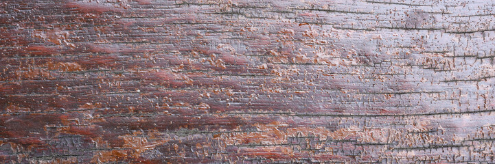 Old wood texture background