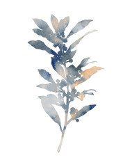 Laurel branch with leaves. Hand painted image isolated on a white background. Botanical illustration for creative design of cards, invitations, banners, websites, posters, etc. Beautiful colours.