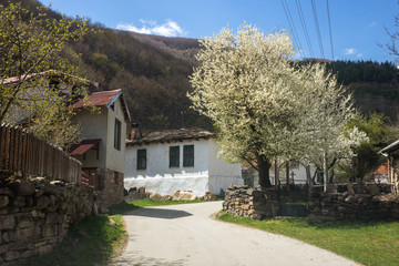 Fototapeta na wymiar Village Dojkinci, popular tourist place on Old Mountain (Stara planina) in Serbia