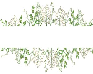 Fototapeta na wymiar Watercolor pattern of wild herbs for a wedding card on a white background. Minimalistic holiday card design. Frame to save a memorable date.