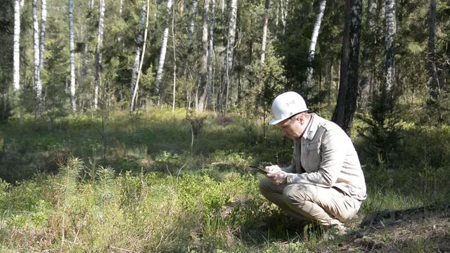 forester studies a plant in the forest and writes data to the tablet hd
