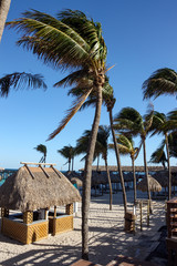 palm trees and tiki hut on a tropical beach