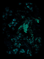 abstract blue background