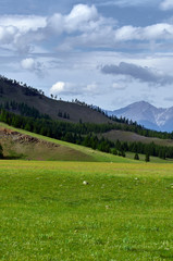 A green plain surrounded by high hills.