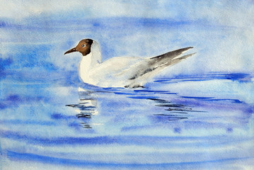 a white watercolor seagull with a black head and black wings ends sits on blue water